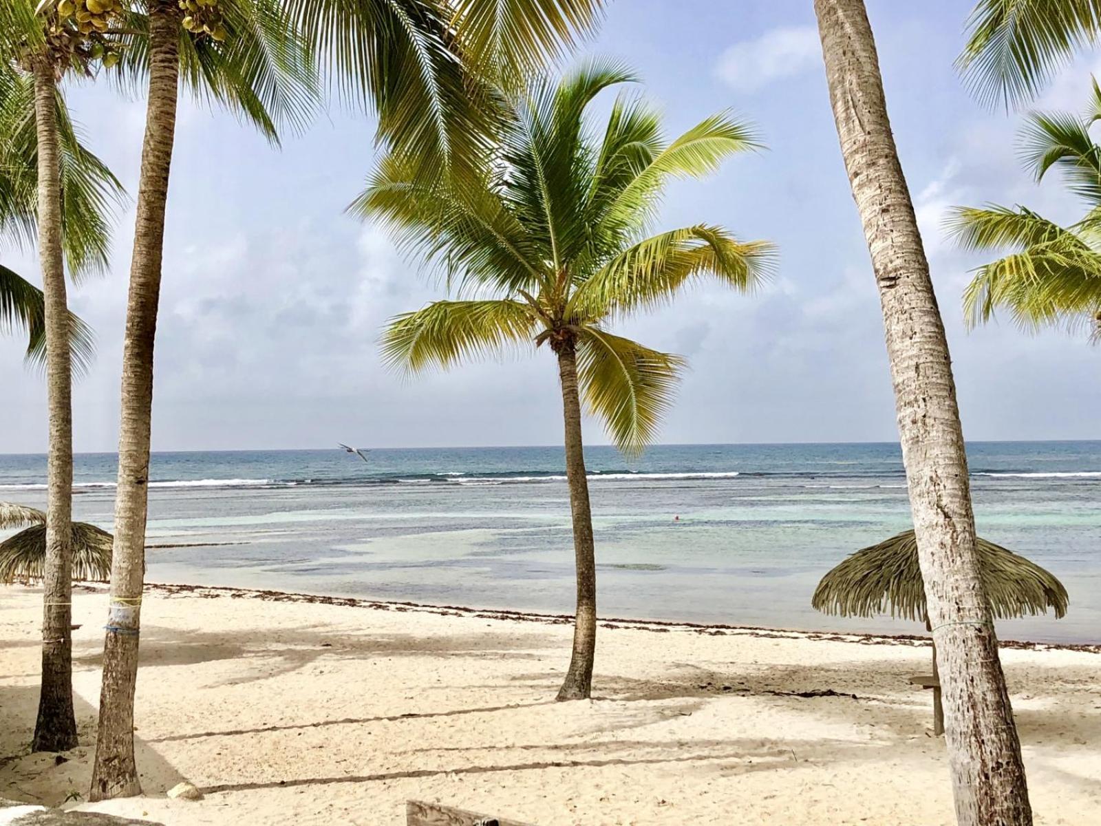 Guadeloupe- Saint-Francois- Residence Anse Des Rochers - Appartement Quart De Villa Etage - Vue Mer- 4 Personnes - Lit Bebe Sur Demande - Citerne Et Wifi Prives -Animaux Ok-Acces Plage Direct -Apnee Bien-Etre Experience Sur Demande Avec Instructeur A Exteriér fotografie